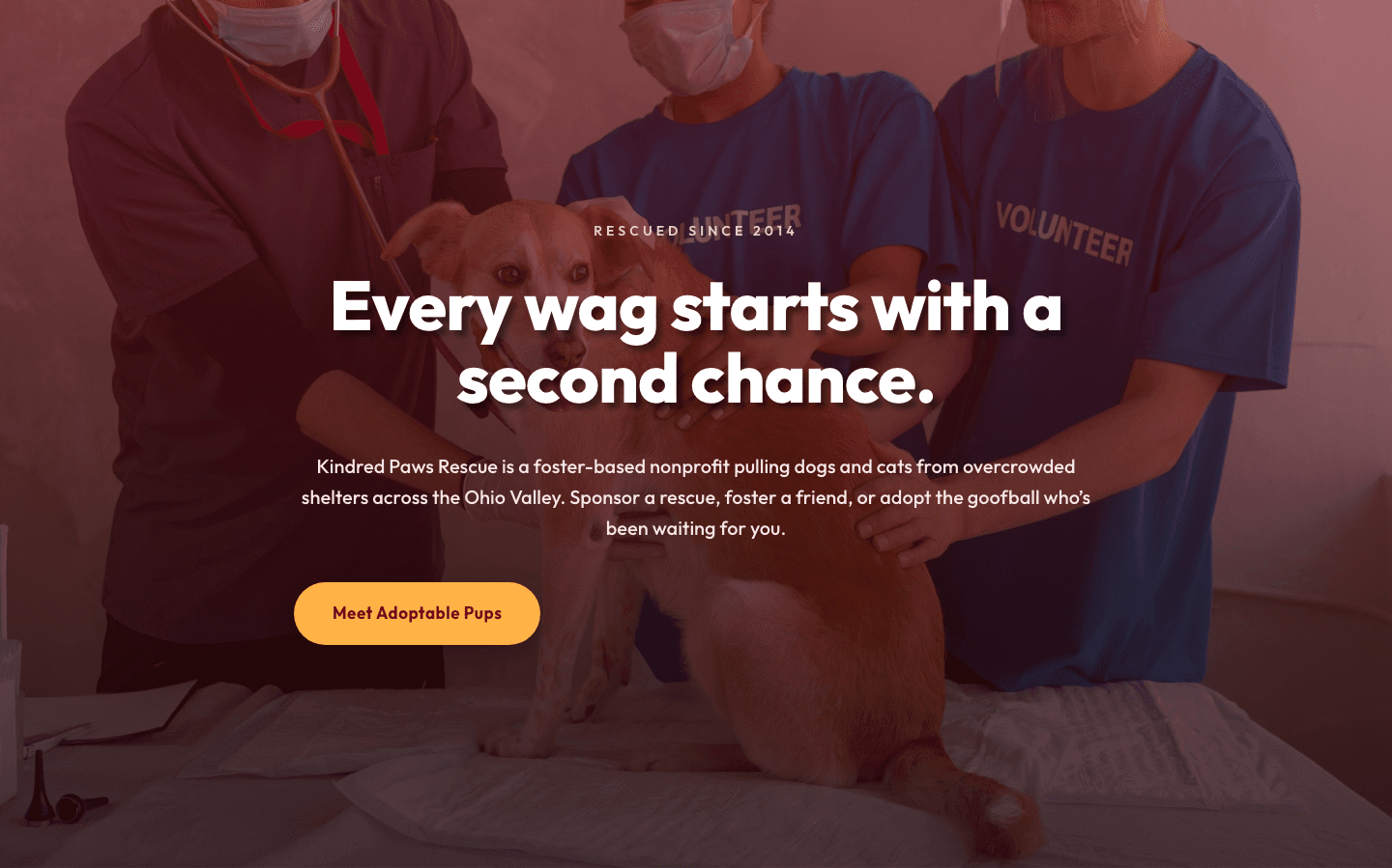 Playful Nonprofit Hero Layout — Kindred Paws Rescue | Divi 5
